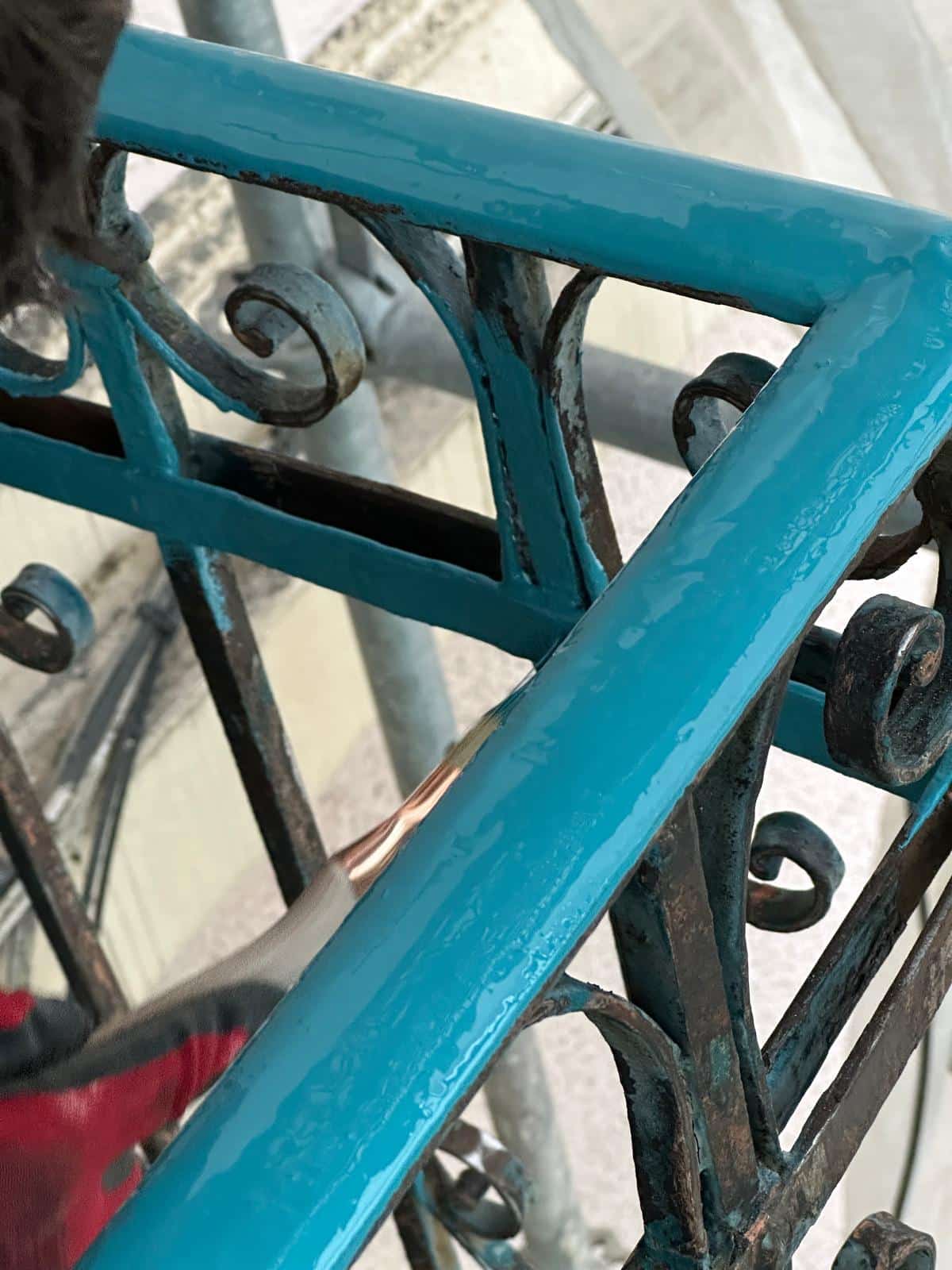 PHOTO-2024-12-11-15-11-39