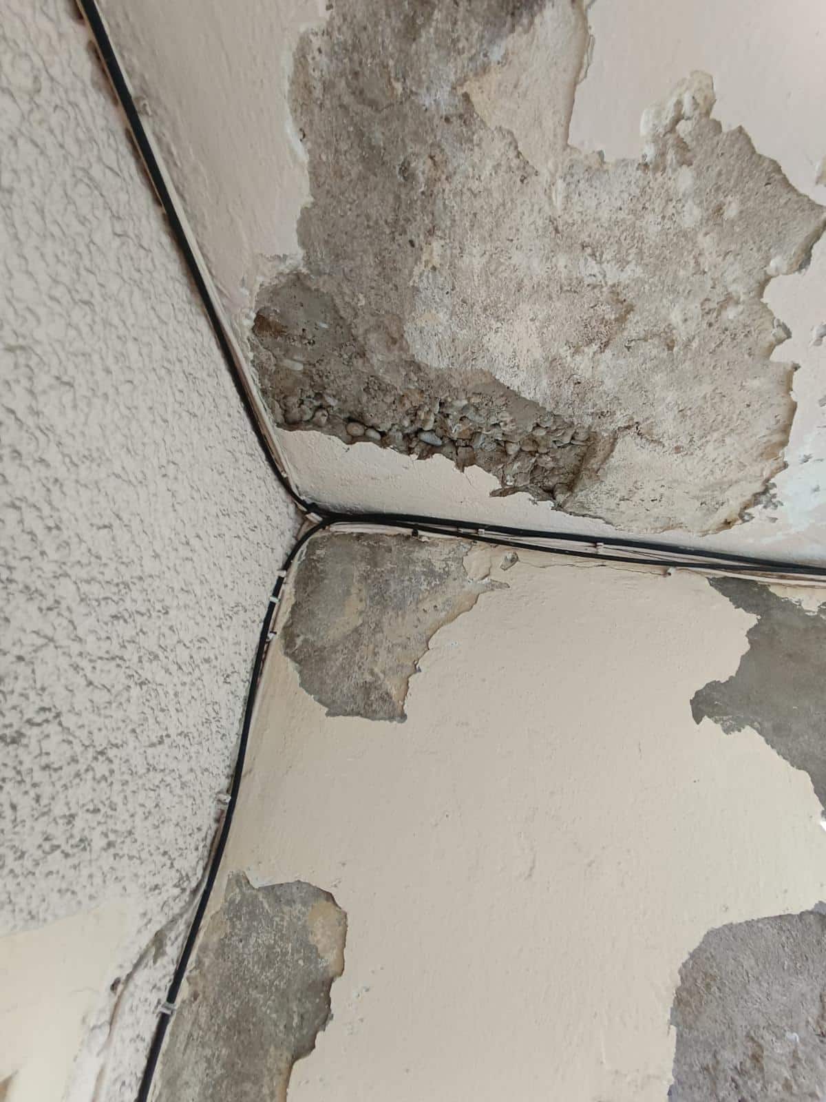 WhatsApp Image 2026-01-21 at 11.29.06 (1)